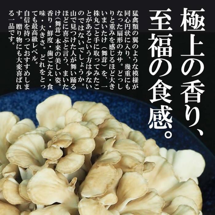 舞茸 えぞ まいたけ 2kg（3〜4株）蝦夷舞茸 無農薬 北海道産 厚沢部町 送料無料 国産 きのこ マイタケ キノコ 北海道 野菜 お取り寄せ 無農薬野菜｜156｜02