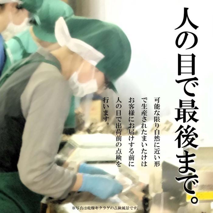 舞茸 えぞ まいたけ 2kg（3〜4株）蝦夷舞茸 無農薬 北海道産 厚沢部町 送料無料 国産 きのこ マイタケ キノコ 北海道 野菜 お取り寄せ 無農薬野菜｜156｜10