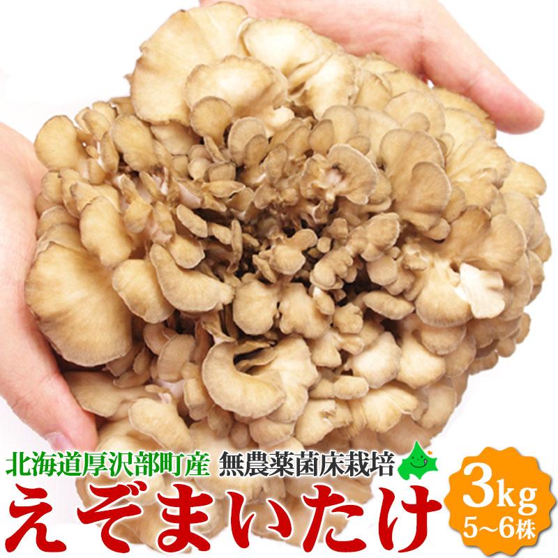 舞茸 えぞ まいたけ 3kg（5〜6株）蝦夷舞茸 無農薬 北海道産 厚沢部町 