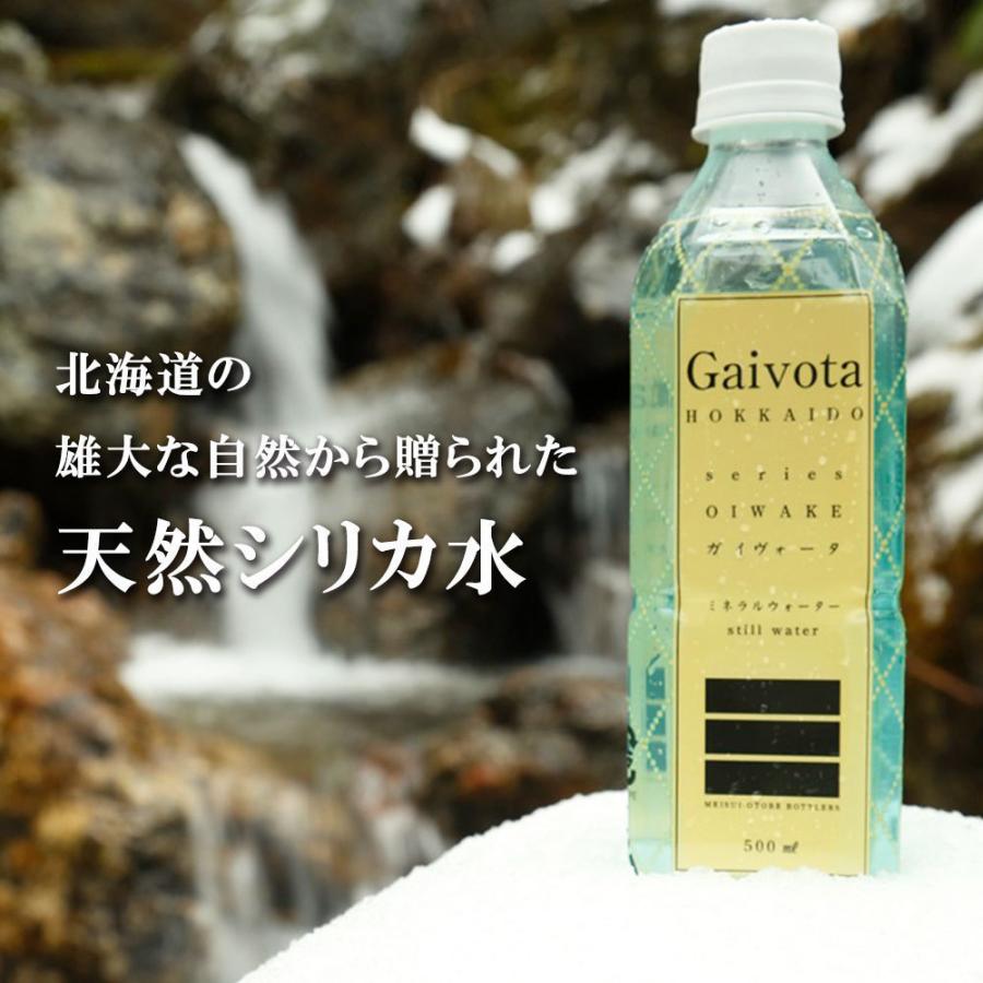 シリカ 天然水 Gaivota ガイヴォータ 500ml×48本（2ケース）北海道
