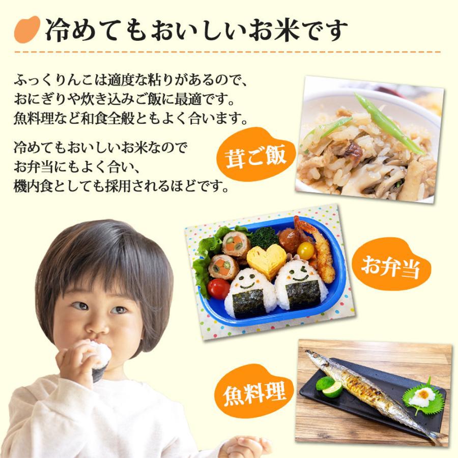ふっくりんこ 10kg(5kg×2袋) 北海道産 お米 令和6年 道産米 ふっくりんこ 10kg(5kg×2袋) 北海道産 お米 令和6年 道産米