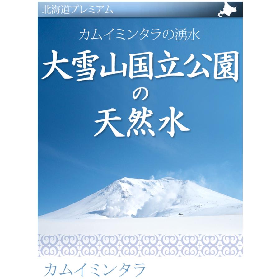 大雪山国立公園の天然水 500ml ×48本（24本入りを2箱） 北海道 ミネラルウォーター 中硬水 湧き水 東川町 お水 カムイミンタラの湧水 平成の名水百選｜156｜02