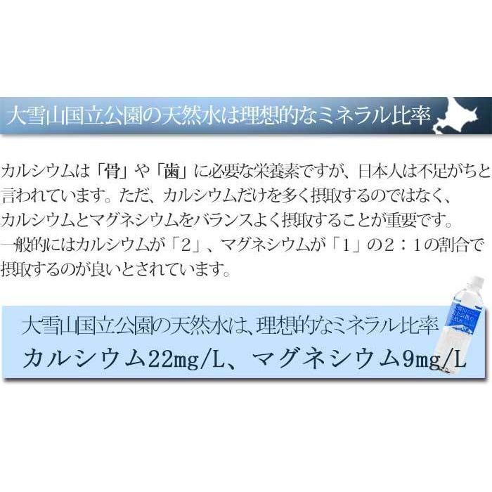 大雪山国立公園の天然水 500ml ×48本（24本入りを2箱） 北海道 ミネラルウォーター 中硬水 湧き水 東川町 お水 カムイミンタラの湧水 平成の名水百選｜156｜10