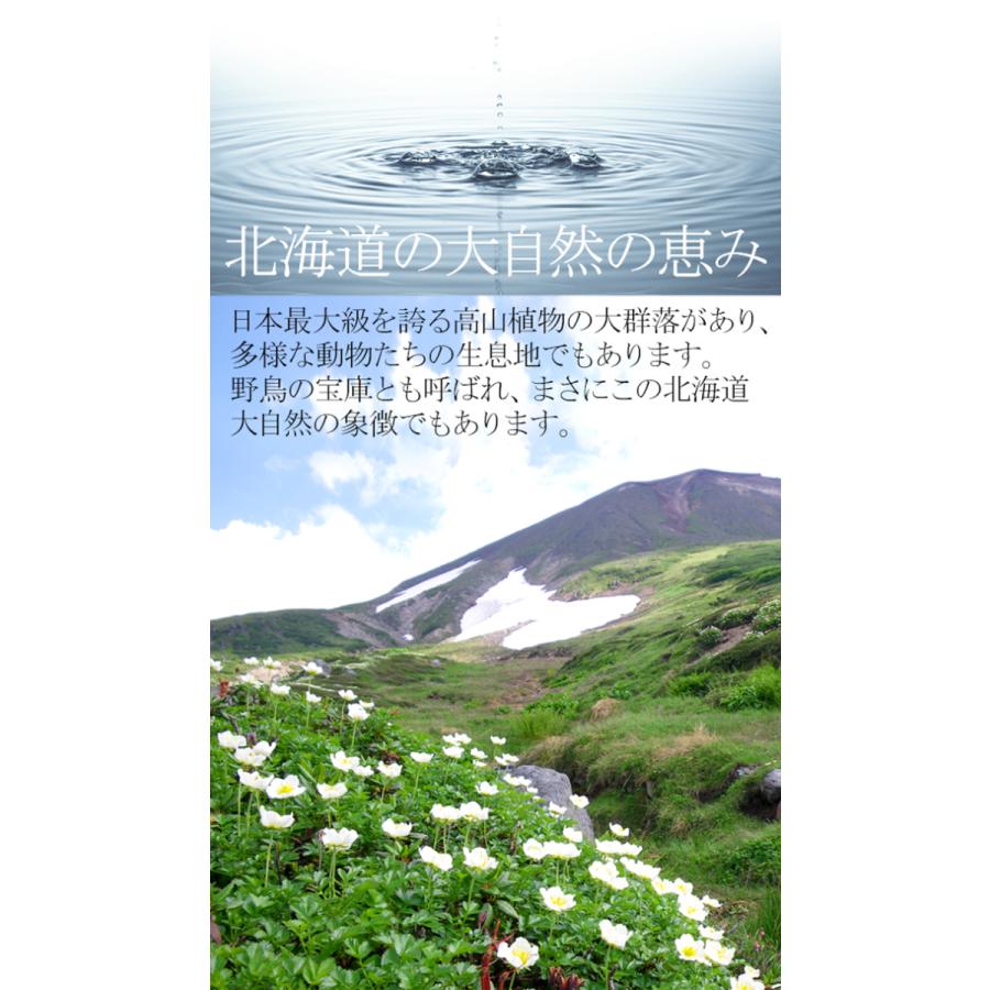 大雪山国立公園の天然水 500ml 24本 旧称 大雪旭岳源水 カムイミンタラの湧水 平成の名水百選 環境省選定 Asahidake あさひだけ Ftm 002 北海道美食生活 通販 Yahoo ショッピング