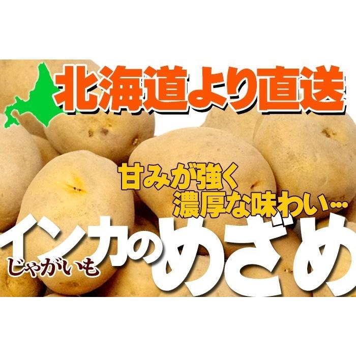 インカのめざめ 10kg じゃがいも 北海道産 煮崩れ少なく甘みの インカのめざめ 10kg じゃがいも 北海道産 煮崩れ少なく甘みの