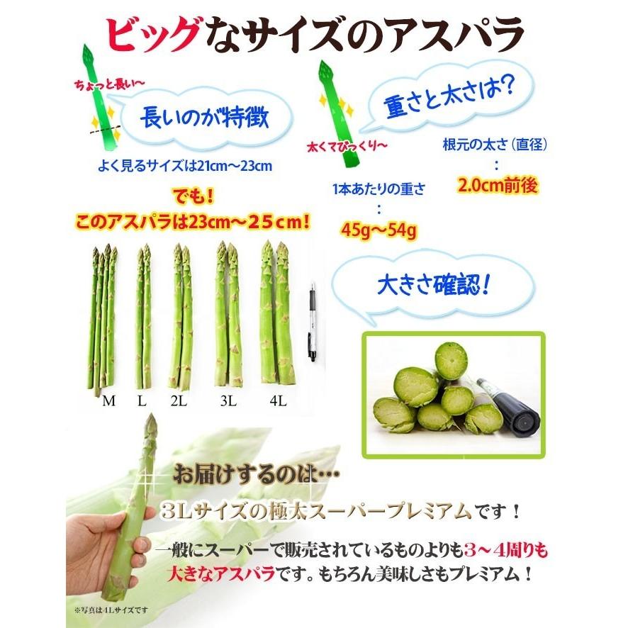 予約販売】極太3L グリーンアスパラガス 3Lサイズ 1kg 北海道産