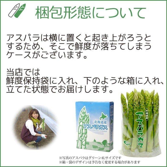 予約販売】極太3L グリーンアスパラガス 3Lサイズ 1kg 北海道産
