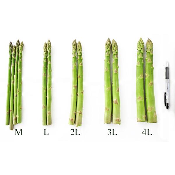 安心の定価販売 予約販売 ホワイトアスパラ 2l 北海道産 送料無料 2kg 1kg箱を2個まとめてお届け ホワイト アスパラガス 白 アスパラ お取り寄せ Fys 0038 W2l 2 北海道美食生活 通販 Yahoo ショッピング 期間限定送料無料 Mediquicklab Com