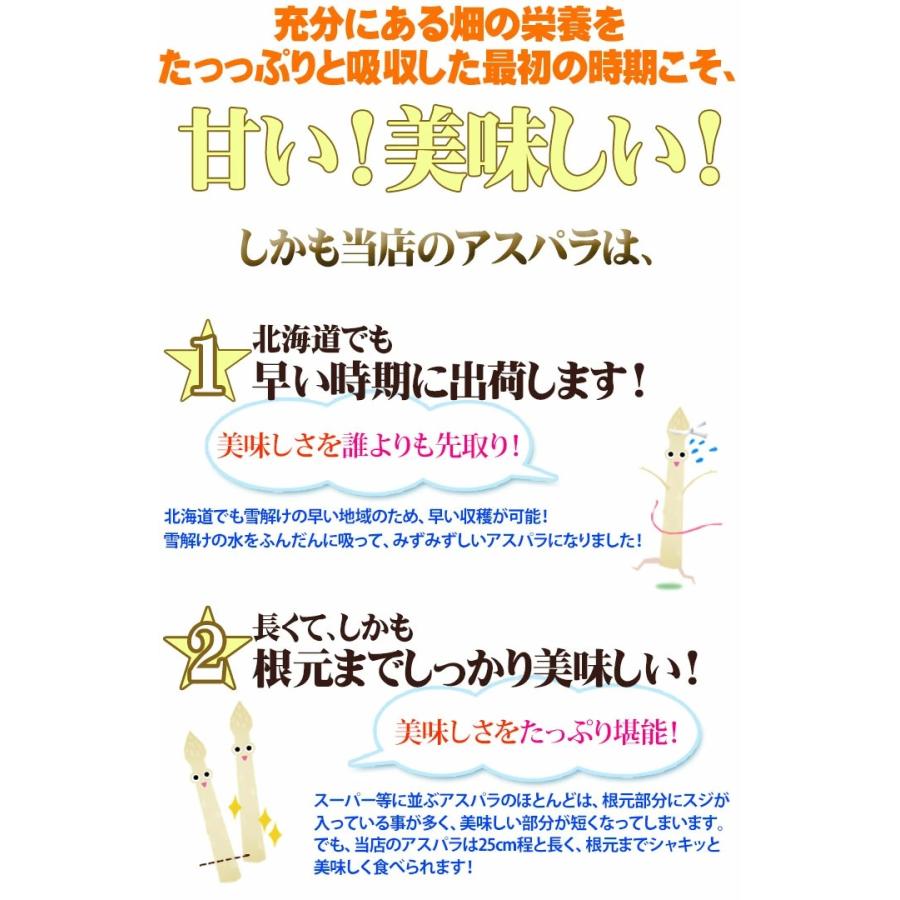 【順次発送開始】極太3L ホワイトアスパラガス 3Lサイズ 1kg 北海道産 白アスパラガス 産地直送 アスパラ ギフト お取り寄せ｜156｜05