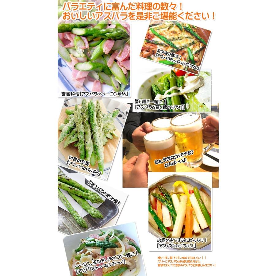 予約販売】幻の超極太4L ホワイトアスパラガス 4Lサイズ 800g 北海道産