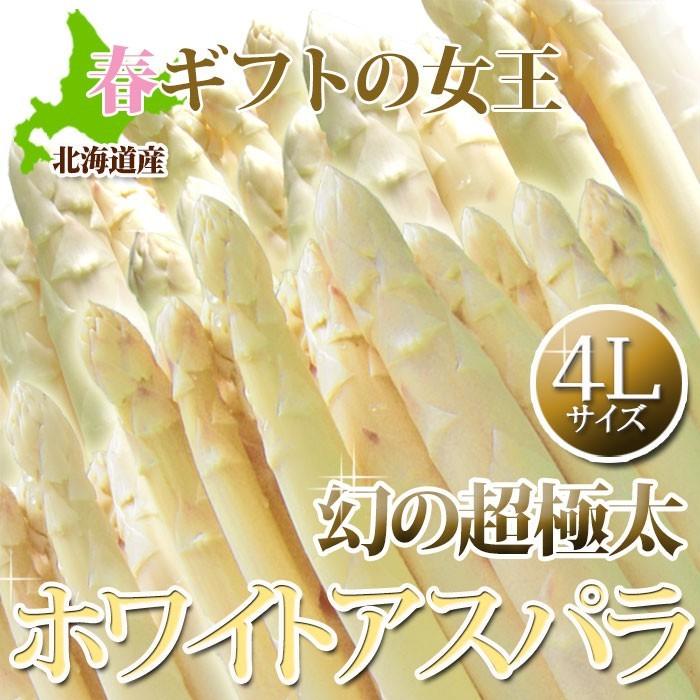 予約販売】幻の超極太4L ホワイトアスパラガス 4Lサイズ 800g 北海道産