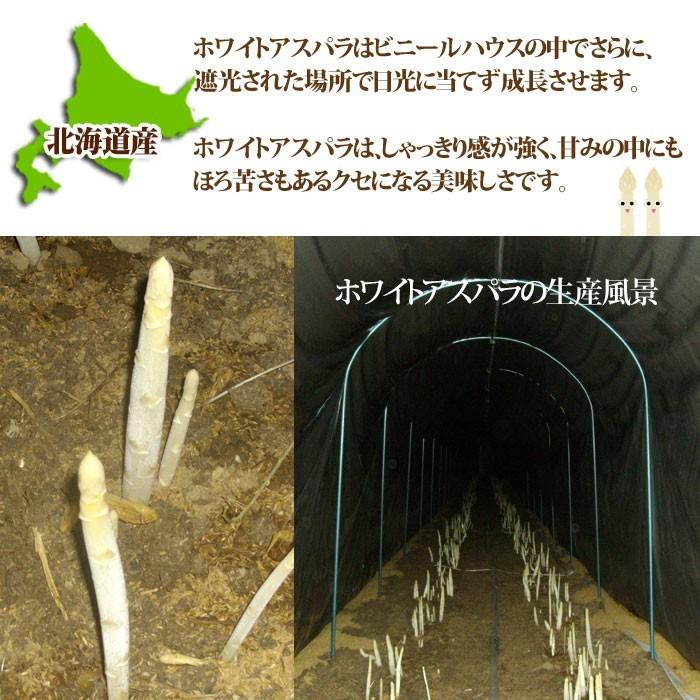 予約販売】幻の超極太4L ホワイトアスパラガス 4Lサイズ 800g 北海道産