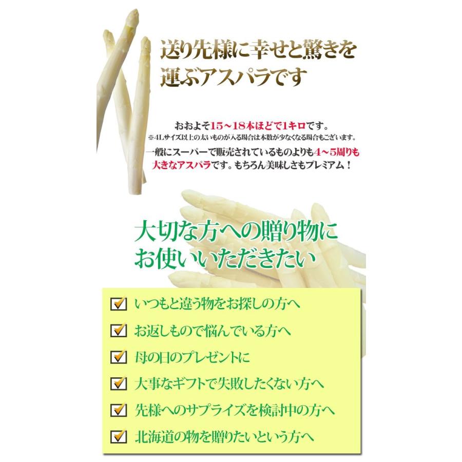 予約販売】幻の超極太4L ホワイトアスパラガス 4Lサイズ 800g 北海道産