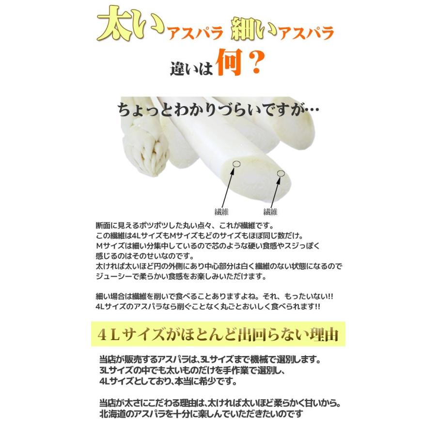 超極太北海道産ホワイトアスパラガス 4kg3Lサイズ以上 予約販売】幻の超極太4L ホワイトアスパラガス 4Lサイズ 800g 北海道産