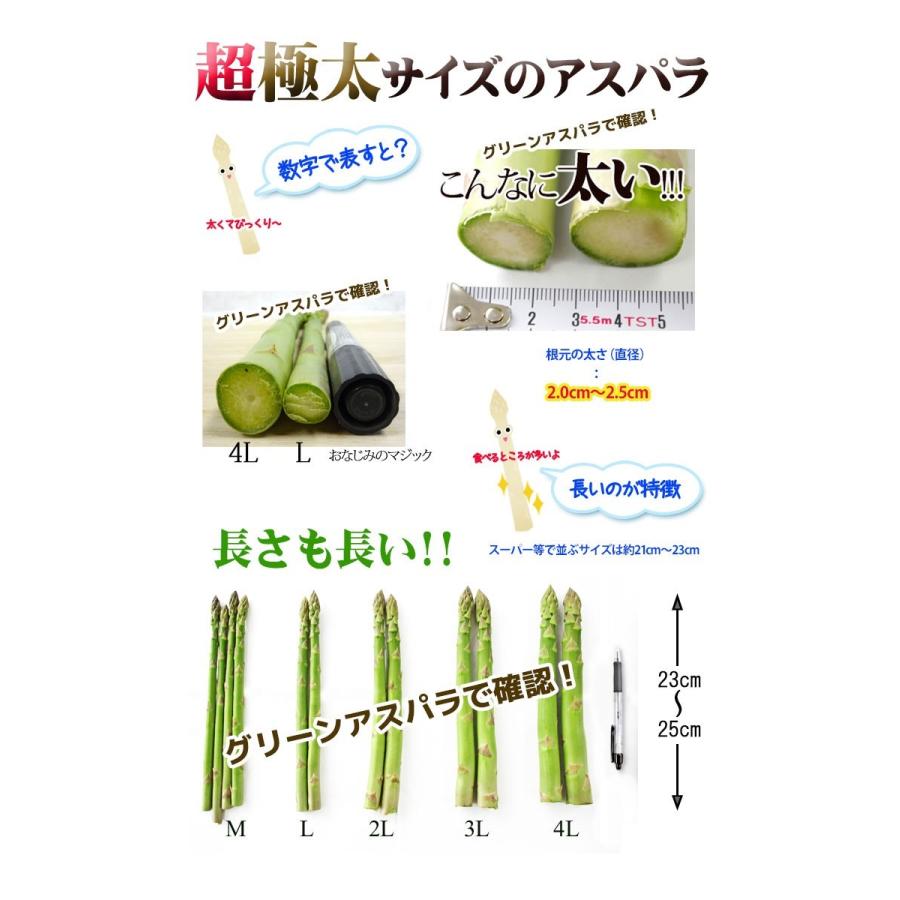 超極太北海道産ホワイトアスパラガス 4kg 3L～4L 予約販売】幻の超極太4L ホワイトアスパラガス 4Lサイズ 800g 北海道産