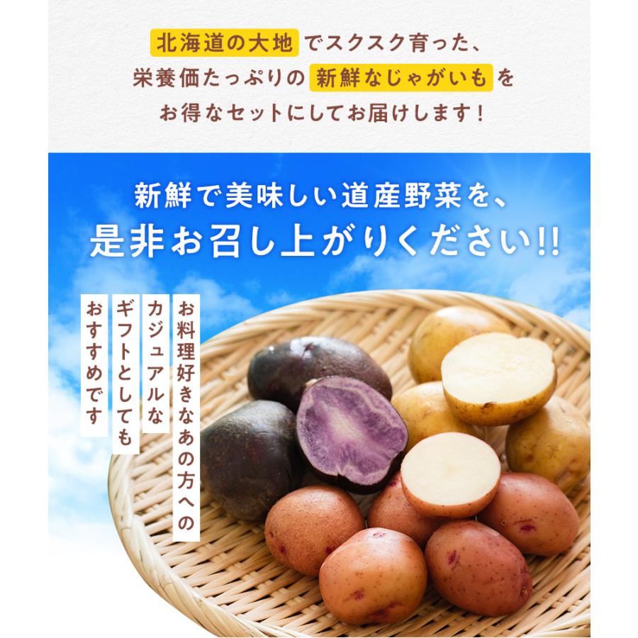 じゃがいも 食べくらべ 北海道産 6種各500g合計3kg（ 男爵 北あかり