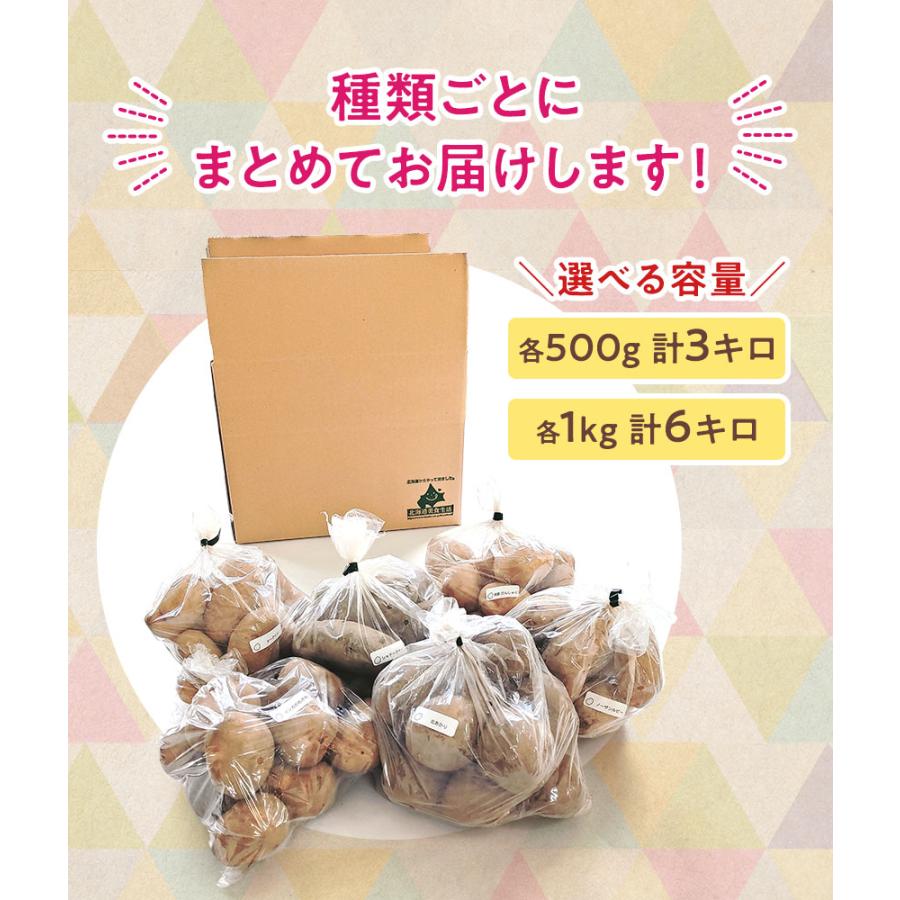 じゃがいも 食べくらべ 北海道産 6種各1kg合計6kg（ 男爵 北あかり メークイン インカのめざめ シャドークイーン ノーザンルビー ） |  | 10