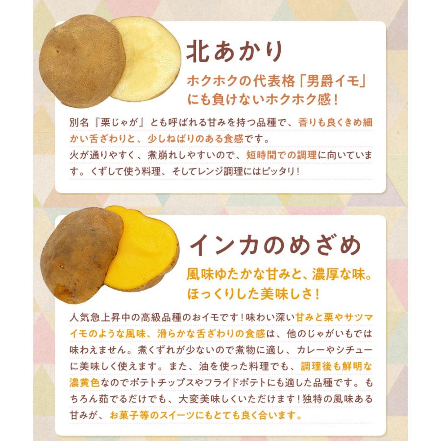 じゃがいも 食べくらべ 北海道産 6種各1kg合計6kg（ 男爵 北あかり メークイン インカのめざめ シャドークイーン ノーザンルビー ） |  | 05
