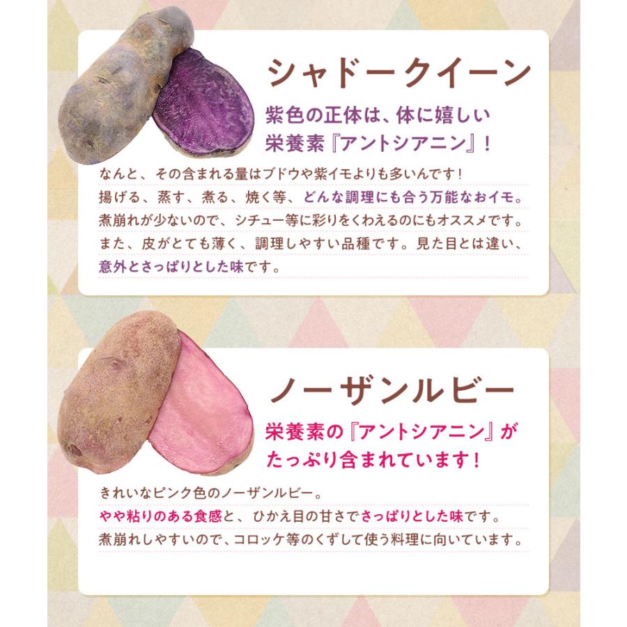 じゃがいも 食べくらべ 北海道産 6種各1kg合計6kg（ 男爵 北あかり メークイン インカのめざめ シャドークイーン ノーザンルビー ） |  | 06