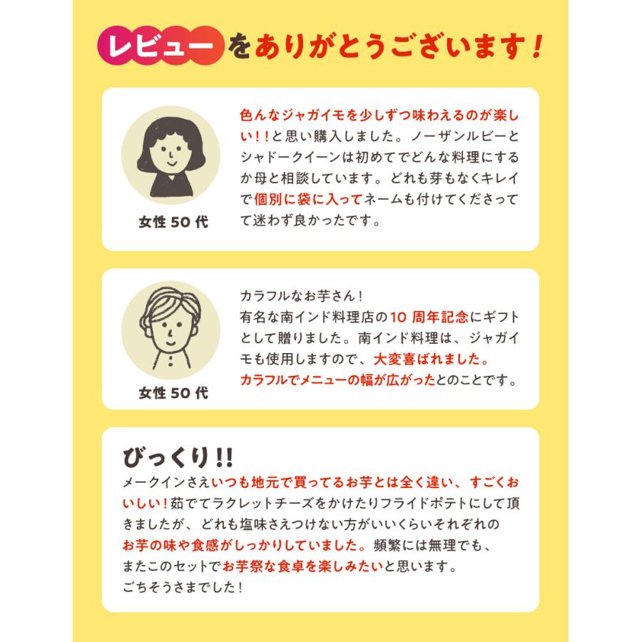 じゃがいも 食べくらべ 北海道産 6種各1kg合計6kg（ 男爵 北あかり メークイン インカのめざめ シャドークイーン ノーザンルビー ） |  | 08