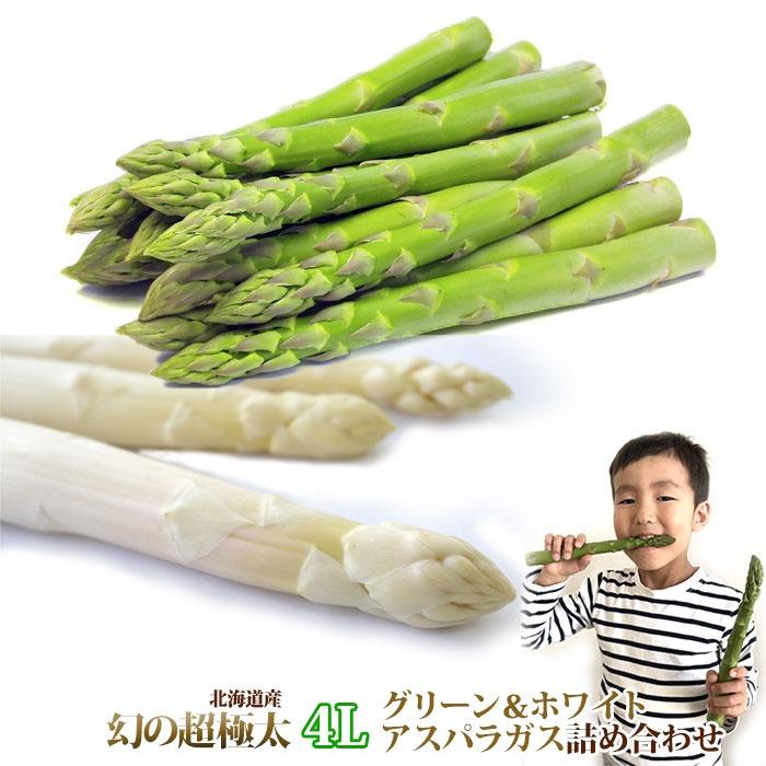 予約販売】幻の超極太4L アスパラガス 2色（グリーンアスパラ ホワイト