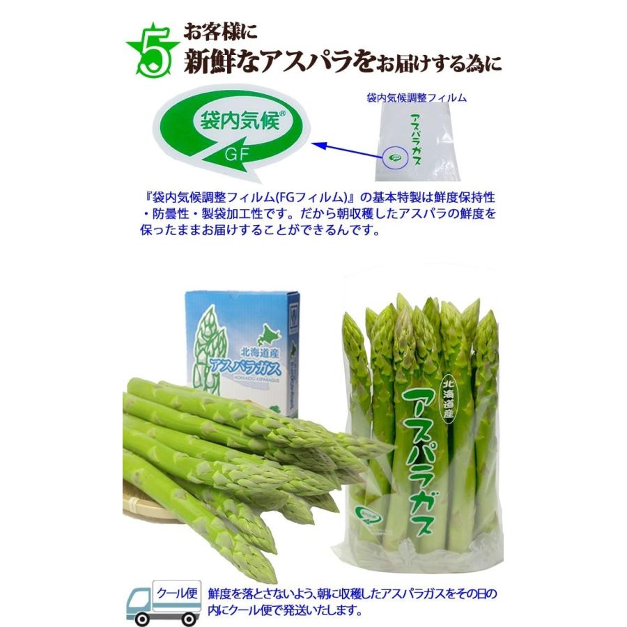 予約販売】幻の超極太4L アスパラガス 2色（グリーンアスパラ ホワイト