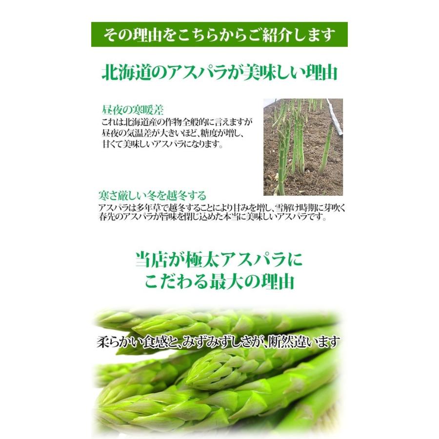 予約販売】幻の超極太4L アスパラガス 2色（グリーンアスパラ ホワイト
