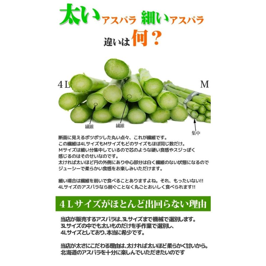 予約販売】幻の超極太4L アスパラガス 2色（グリーンアスパラ ホワイト