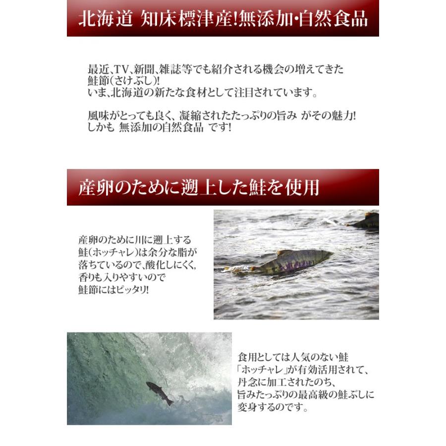 鮭ぶし 華ふぶき 約30g 2個セット 送料無料 鮭 鮭加工品 いぶしたうまみ 鮭節 サケ節 さけぶし おにぎり おむすび 冷奴 おひたし I Fsx 008 02 北海道美食生活 通販 Yahoo ショッピング