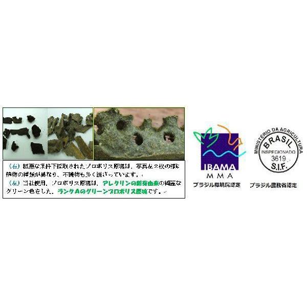 ブラジル産 グリーン プロポリス 液体 原液 30ml ◆３本セット◆　高品質 ミナス州 産100%｜15corp｜06