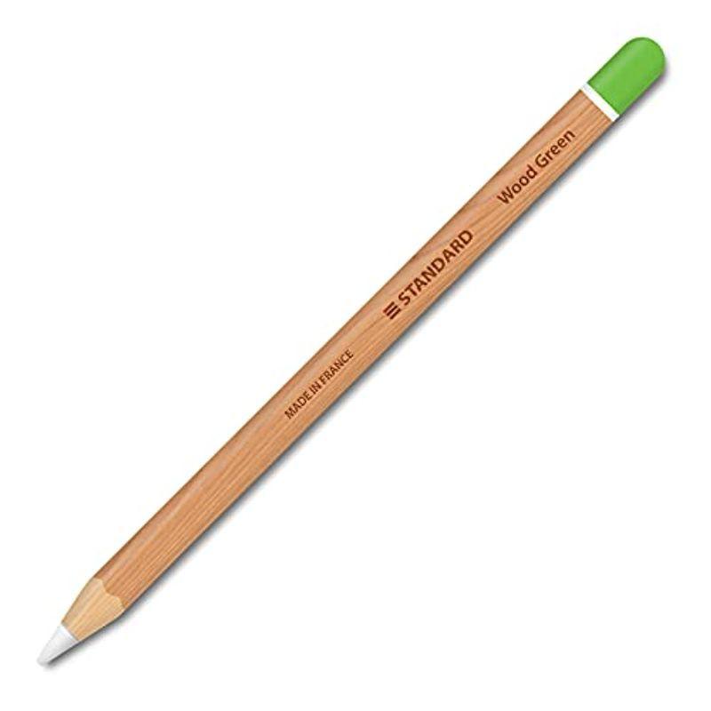 アップルペンシル２世代専用スキンシールス Apple Pencil iPad Pro