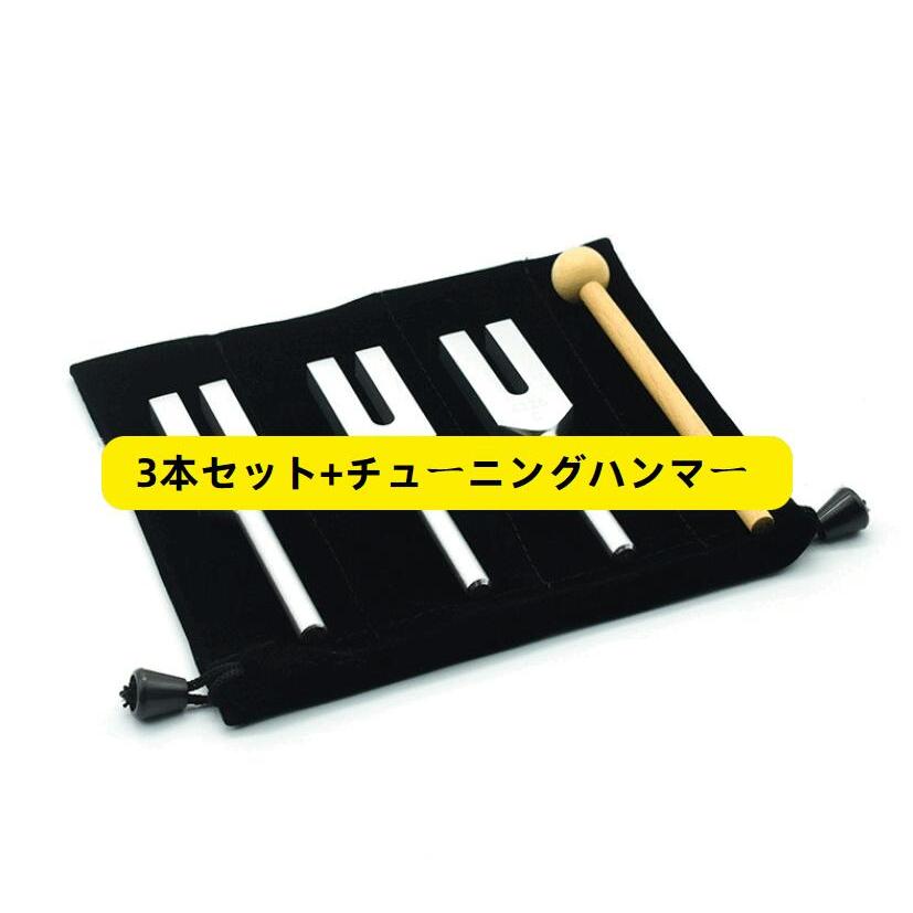 チューニングフォーク 3本セット 4096C 4160C 4225C アルミ合金