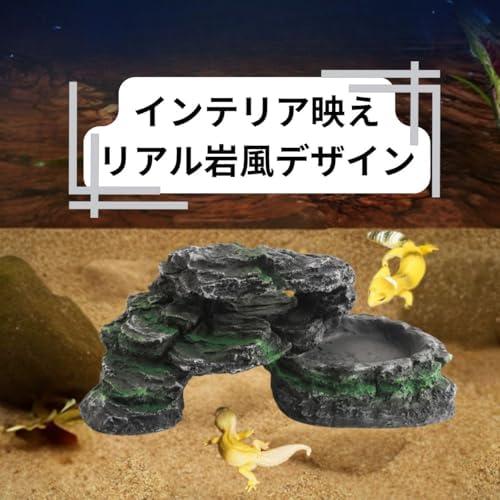 爬虫類・両生類用 樹脂製ウェットシェルター 隠れ家 湿度維持 脱皮