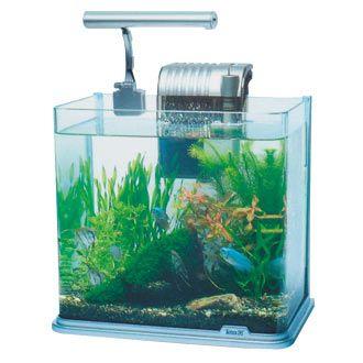 テトラledミニライト ホームセンター 171オンラインショップ 通販 Yahoo ショッピング