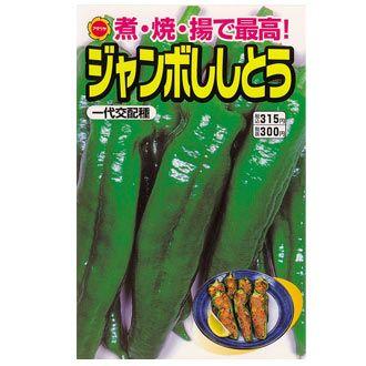 ジャンボししとう春野菜の種 ホームセンター 171オンラインショップ 通販 Yahoo ショッピング