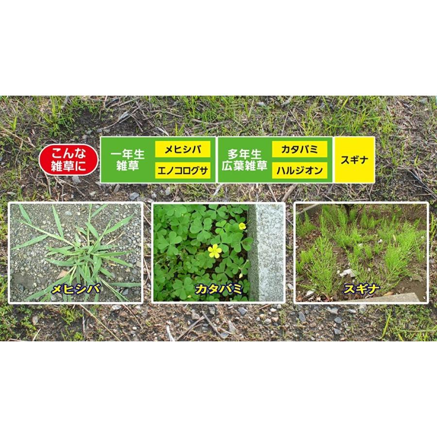 住友化学園芸 除草剤 草退治e 粒剤 650g 最大散布可能平米数 130m2 171オンラインショップ 通販 Yahoo ショッピング