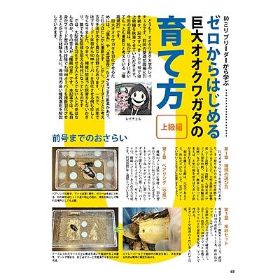 7月10発送ビークワ100号新刊ポイント倍！BEKUWA100号 送料無料！☆2026
