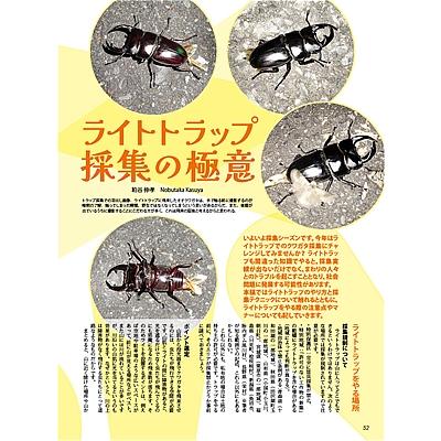 7月10発送ビークワ100号新刊ポイント倍！BEKUWA100号 送料無料！☆2026