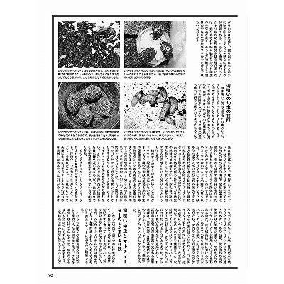 代引き不可！ビークワ94号 送料無料！☆定休日＝日祝水曜、他 : 171