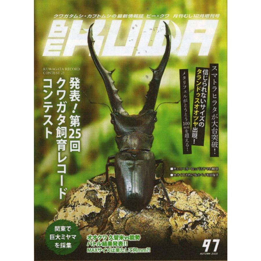 むし社ビークワNo.11〜36 26冊まとめ売り むし社ビークワNo.11〜36 26冊まとめ売り むし社ビークワNo.11