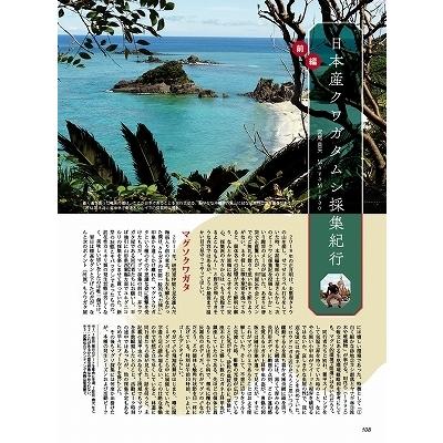 送料無料 ビークワ67号 BE-KUWA67号 : 171大阪ヤフー店 - 通販 - Yahoo