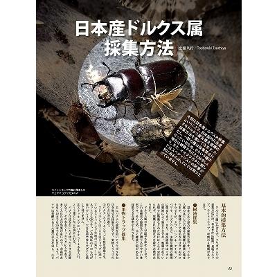 絶版！送料無料【絶版】ビークワ71号　BE-KUWA71号　｜171osaka｜09