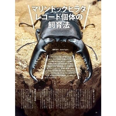 送料無料！【絶版】ビークワ81号BE-KUWA81号☆定休日＝日祝水曜、他