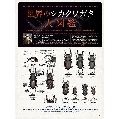 代引き不可！ビークワ91号 送料無料☆定休日＝日祝水曜、他 : 171大阪