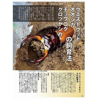代引き不可！ビークワ91号 送料無料☆定休日＝日祝水曜、他 : 171大阪
