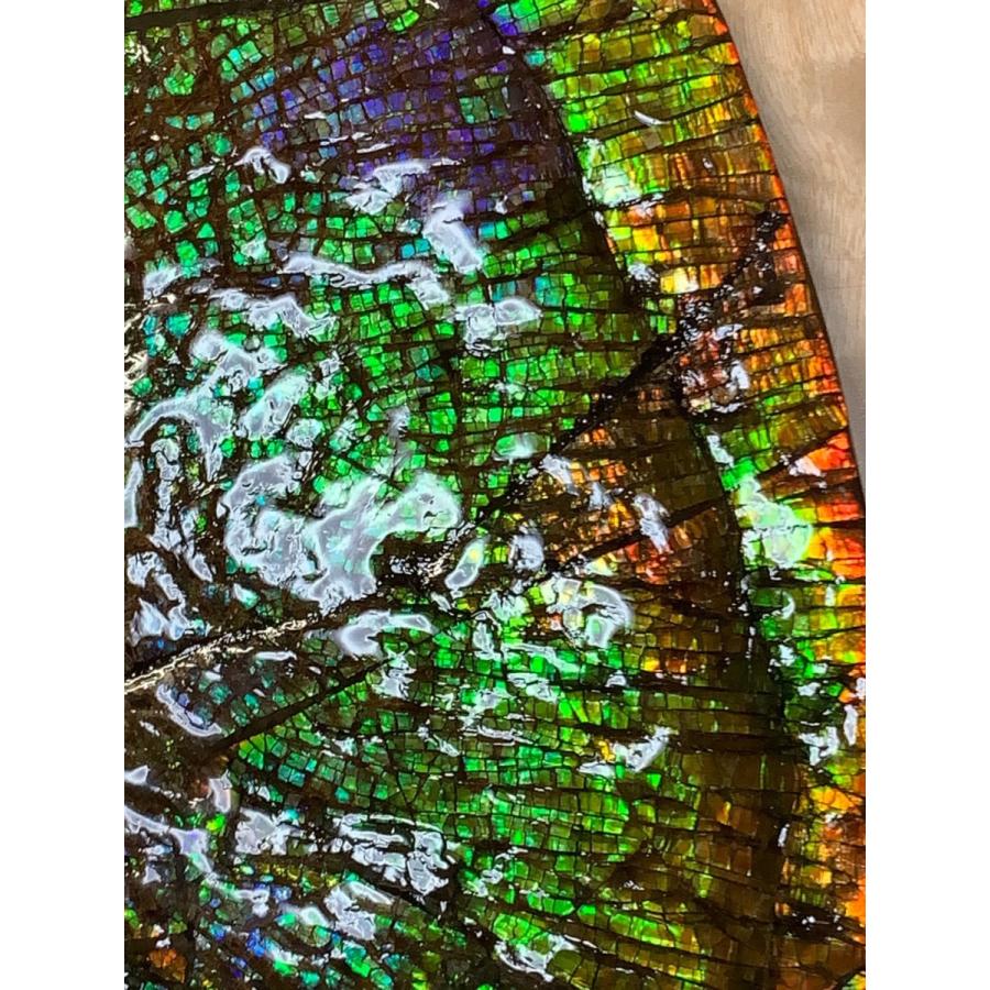 博物館級】 アンモライト 巨大 原石 ドラゴンスキン 緑系 発色 AAA