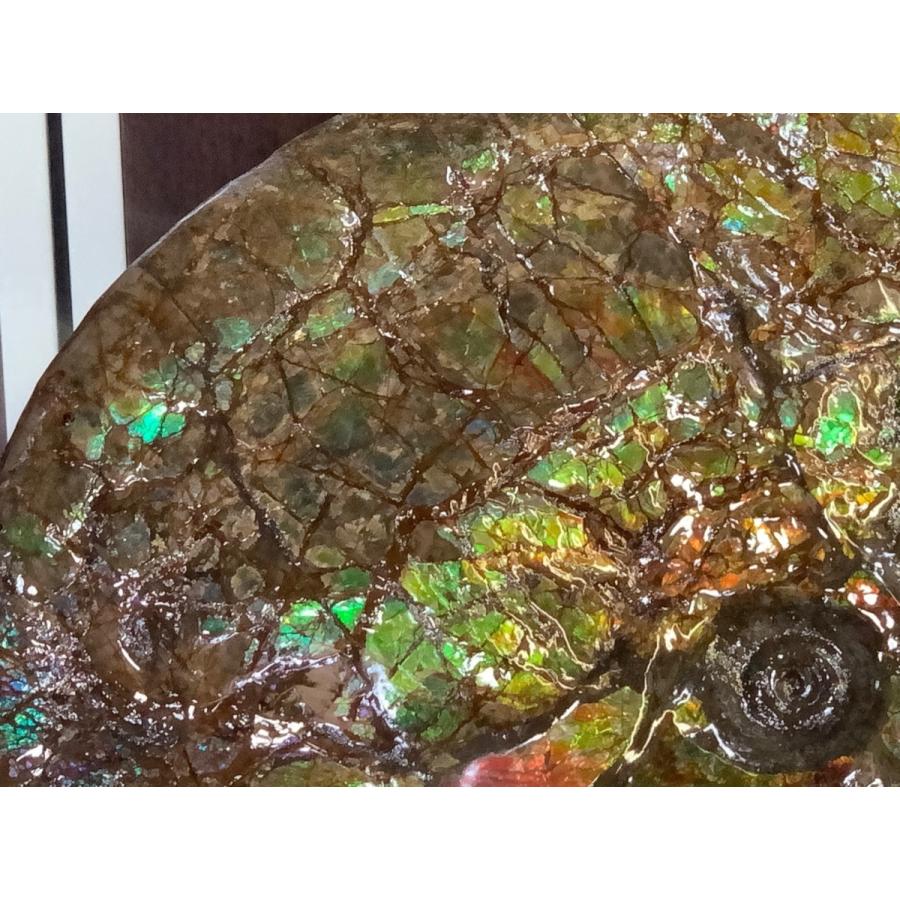 新品アンモライト9×6㎜ 博物館級】 アンモライト 巨大 原石 ドラゴンスキン 緑系 発色 AAA