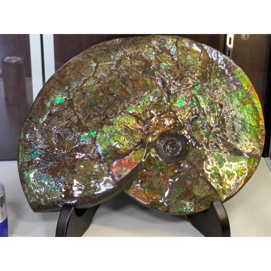 博物館級】 アンモライト 巨大 原石 ドラゴンスキン 緑系 発色 AAA