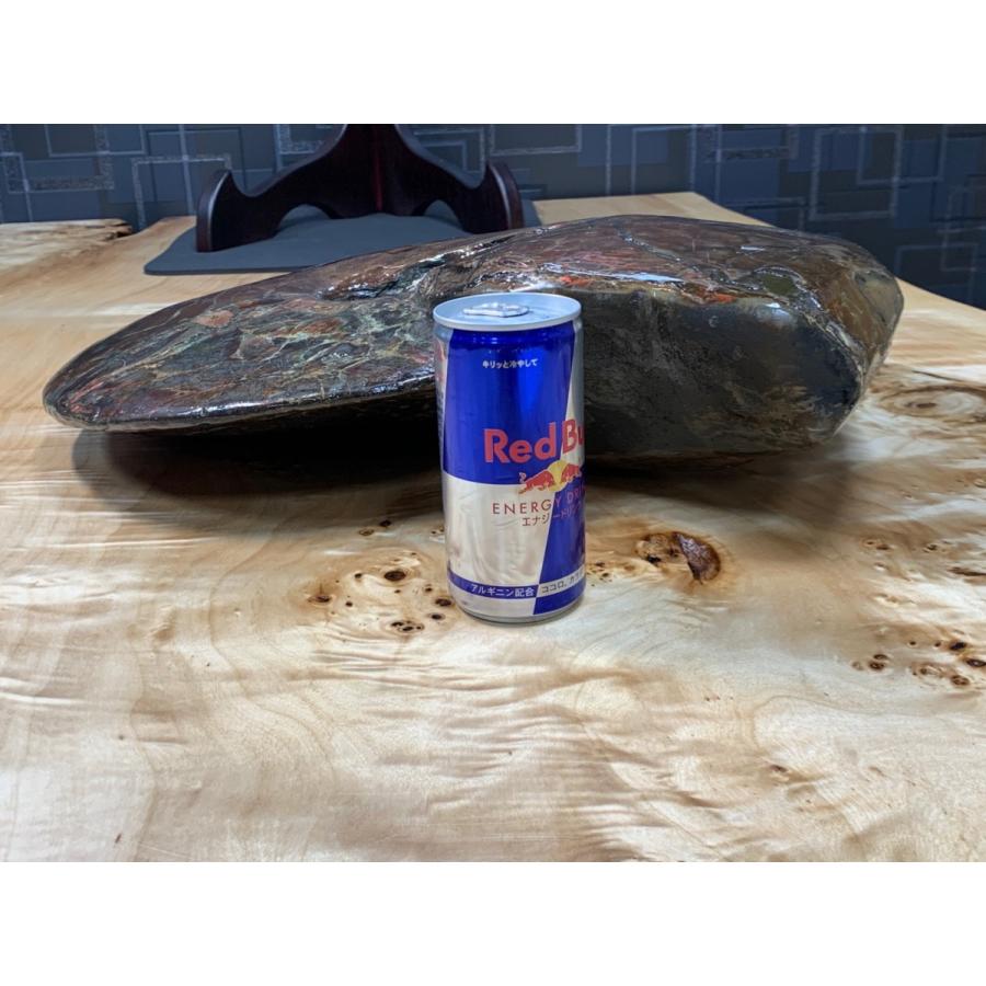 博物館級】 アンモライト 超巨大 肉厚 圧倒的存在感のビッグ