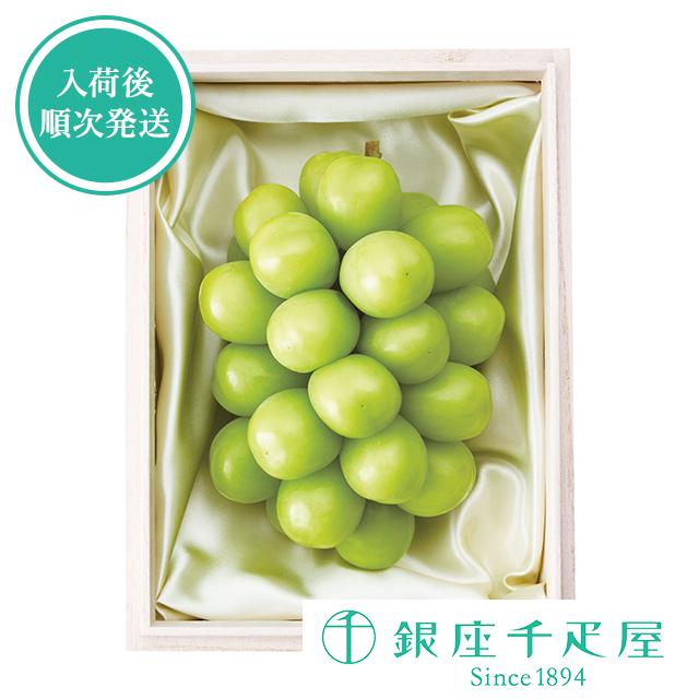 父の日 お中元 千疋屋 フルーツ 詰め合わせ お取り寄せ 贈り物 ギフト Gift 銀座千疋屋